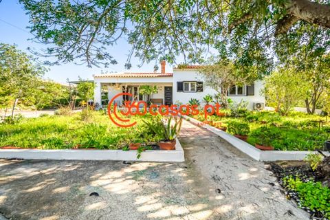 Farm i Estoi, Faro, Estoi - € 1.600.000 | Ref: 3601560 - foto 9