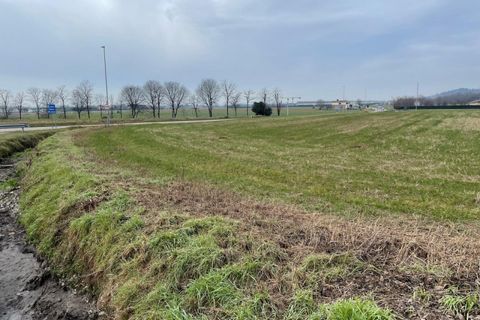 Terra a Solferino, Mantua, Solferino - € 300.000 | Ref: 2643 - foto 6