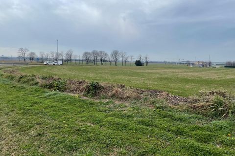 Terra a Solferino, Mantua, Solferino - € 300.000 | Ref: 2643 - foto 9
