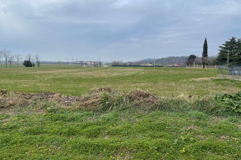 Terra a Solferino, Mantua, Solferino - € 300.000 | Ref: 2643 - foto 11