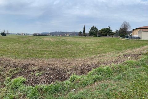 Terra a Solferino, Mantua, Solferino - € 300.000 | Ref: 2643 - foto 14