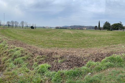 Terra a Solferino, Mantua, Solferino - € 300.000 | Ref: 2643 - foto 3