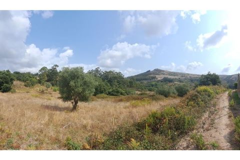 Helårsgrund i Lousa, Coimbra, Lousa - € 145.000 | Ref: 13984 - foto 2