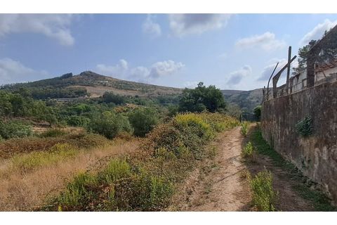Helårsgrund i Lousa, Coimbra, Lousa - € 145.000 | Ref: 13984 - foto 3