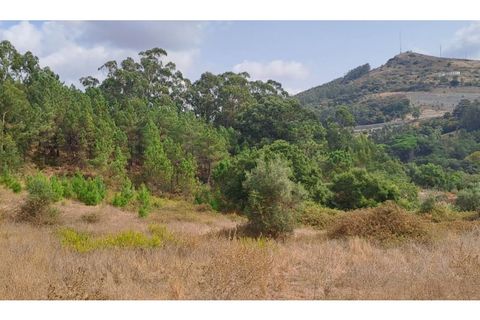 Helårsgrund i Lousa, Coimbra, Lousa - € 145.000 | Ref: 13984 - foto 4