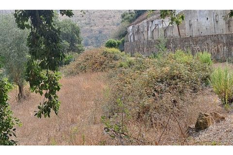 Helårsgrund i Lousa, Coimbra, Lousa - € 145.000 | Ref: 13984 - foto 5
