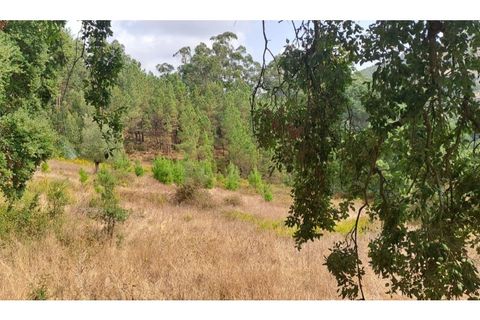 Helårsgrund i Lousa, Coimbra, Lousa - € 145.000 | Ref: 13984 - foto 6