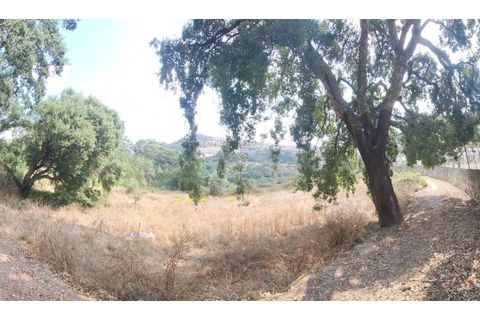 Helårsgrund i Lousa, Coimbra, Lousa - € 145.000 | Ref: 13984 - foto 7