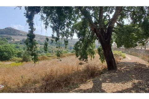 Helårsgrund i Lousa, Coimbra, Lousa - € 145.000 | Ref: 13984 - foto 8