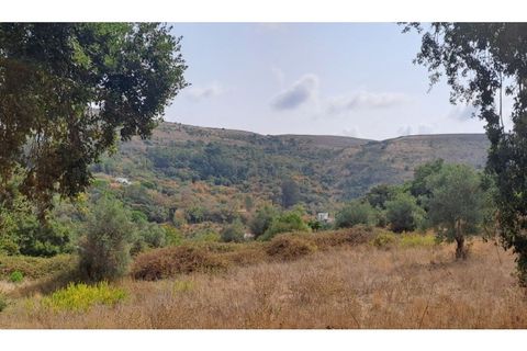 Helårsgrund i Lousa, Coimbra, Lousa - € 145.000 | Ref: 13984 - foto 9