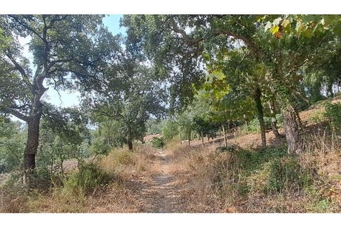Helårsgrund i Lousa, Coimbra, Lousa - € 145.000 | Ref: 13984 - foto 10