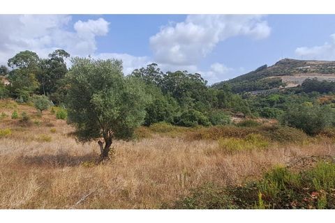 Helårsgrund i Lousa, Coimbra, Lousa - € 145.000 | Ref: 13984 - foto 14
