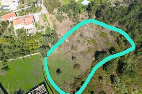 Helårsgrund i Lousa, Coimbra, Lousa - € 145.000 | Ref: 13984 - foto 15