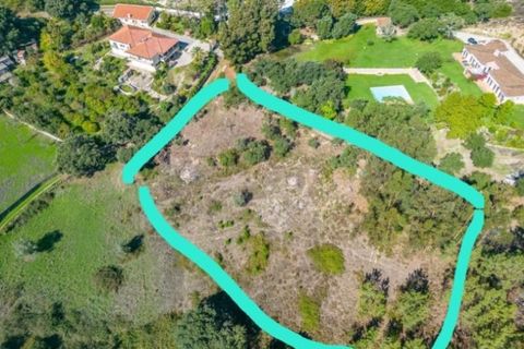 Helårsgrund i Lousa, Coimbra, Lousa - € 145.000 | Ref: 13984 - foto 16
