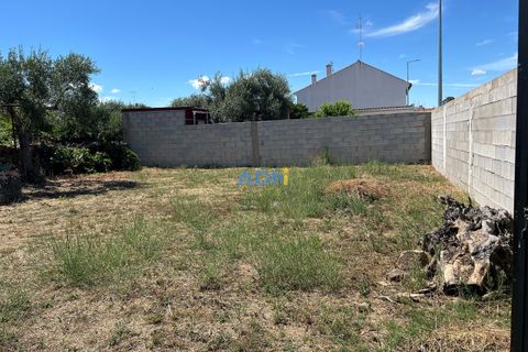 Terra a Alcains, Castelo Branco, Alcains - € 72.500 | Ref: 124113 - foto 2