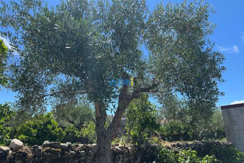 Terra a Alcains, Castelo Branco, Alcains - € 72.500 | Ref: 124113 - foto 3