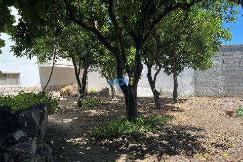 Terra a Alcains, Castelo Branco, Alcains - € 72.500 | Ref: 124113 - foto 19