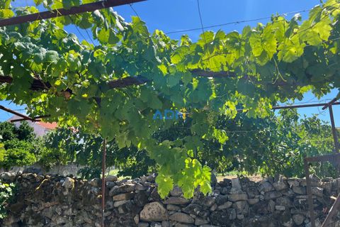 Terra a Alcains, Castelo Branco, Alcains - € 72.500 | Ref: 124113 - foto 20