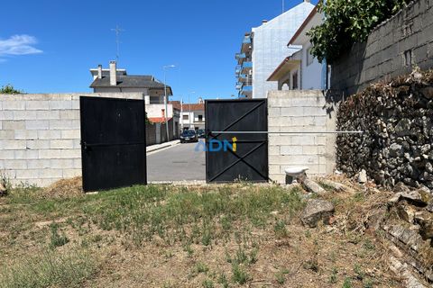 Terra a Alcains, Castelo Branco, Alcains - € 72.500 | Ref: 124113 - foto 22