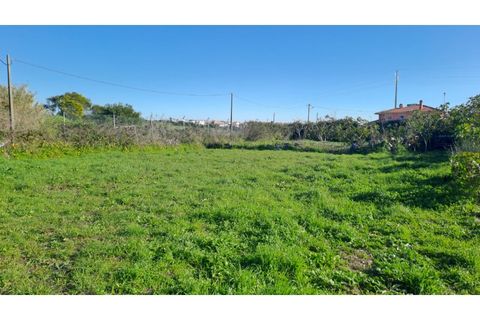 Helårsgrund i Alcabideche, Lisbon, Alcabideche - € 1.000.000 | Ref: SÒL_32 - foto 3