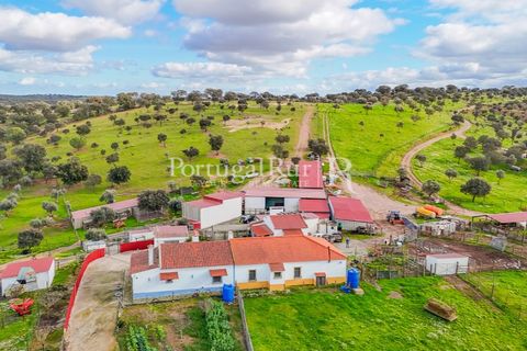 Masia a Evora, Evora, Evora - € 1.500.000 | Ref: JC782 - foto 2