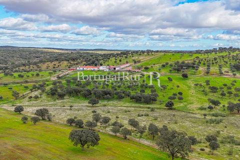 Masia a Evora, Evora, Evora - € 1.500.000 | Ref: JC782 - foto 5