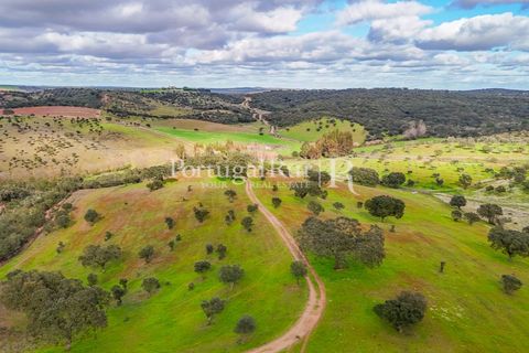 Masia a Evora, Evora, Evora - € 1.500.000 | Ref: JC782 - foto 6