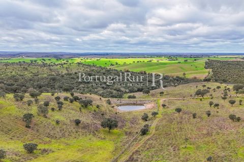 Masia a Evora, Evora, Evora - € 1.500.000 | Ref: JC782 - foto 7