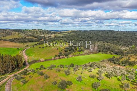 Masia a Evora, Evora, Evora - € 1.500.000 | Ref: JC782 - foto 8