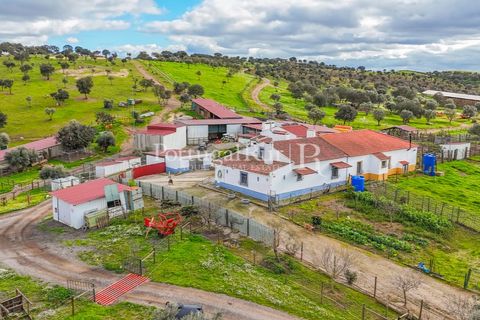 Masia a Evora, Evora, Evora - € 1.500.000 | Ref: JC782 - foto 10
