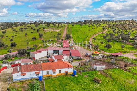 Masia a Evora, Evora, Evora - € 1.500.000 | Ref: JC782 - foto 11