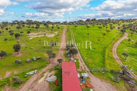 Masia a Evora, Evora, Evora - € 1.500.000 | Ref: JC782 - foto 12