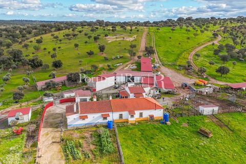 Masia a Evora, Evora, Evora - € 1.500.000 | Ref: JC782 - foto 13
