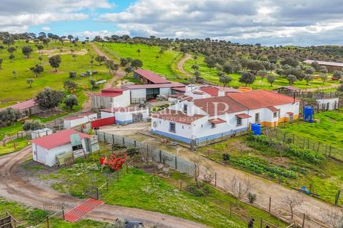 Masia a Evora, Evora, Evora - € 1.500.000 | Ref: JC782 - foto 24