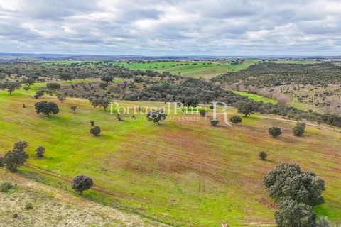 Masia a Evora, Evora, Evora - € 1.500.000 | Ref: JC782 - foto 25
