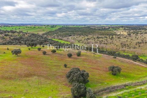 Masia a Evora, Evora, Evora - € 1.500.000 | Ref: JC782 - foto 26