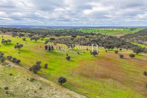 Masia a Evora, Evora, Evora - € 1.500.000 | Ref: JC782 - foto 28