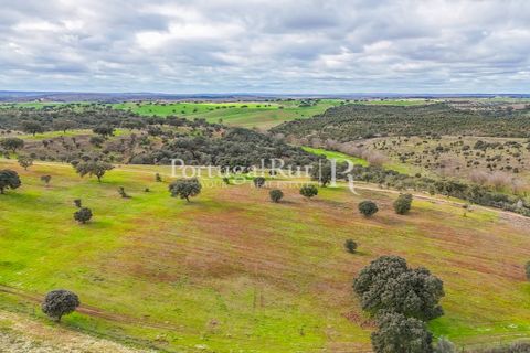 Masia a Evora, Evora, Evora - € 1.500.000 | Ref: JC782 - foto 30