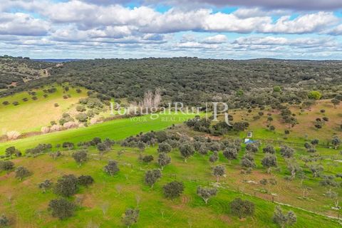 Masia a Evora, Evora, Evora - € 1.500.000 | Ref: JC782 - foto 31