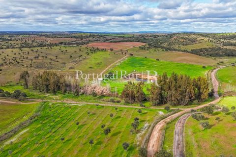 Masia a Evora, Evora, Evora - € 1.500.000 | Ref: JC782 - foto 32