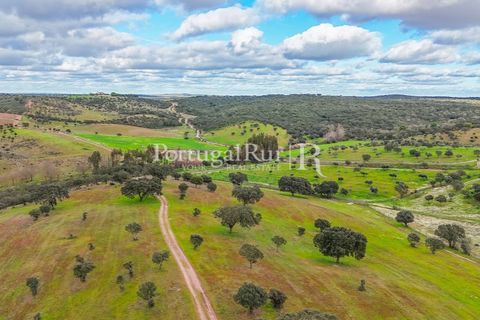 Masia a Evora, Evora, Evora - € 1.500.000 | Ref: JC782 - foto 33
