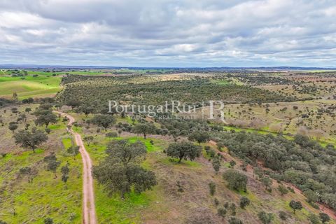 Masia a Evora, Evora, Evora - € 1.500.000 | Ref: JC782 - foto 34