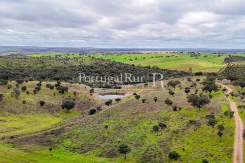 Masia a Evora, Evora, Evora - € 1.500.000 | Ref: JC782 - foto 35