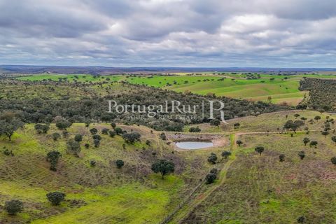 Masia a Evora, Evora, Evora - € 1.500.000 | Ref: JC782 - foto 36
