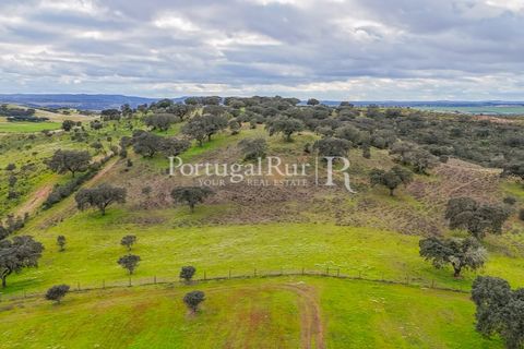 Masia a Evora, Evora, Evora - € 1.500.000 | Ref: JC782 - foto 37