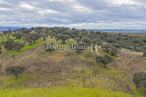 Masia a Evora, Evora, Evora - € 1.500.000 | Ref: JC782 - foto 38