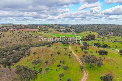 Masia a Evora, Evora, Evora - € 1.500.000 | Ref: JC782 - foto 39