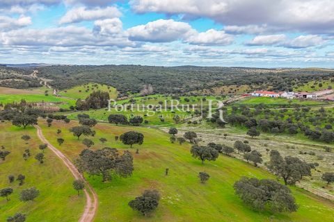 Masia a Evora, Evora, Evora - € 1.500.000 | Ref: JC782 - foto 40