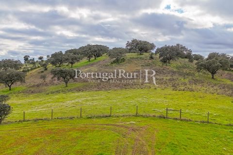 Masia a Evora, Evora, Evora - € 1.500.000 | Ref: JC782 - foto 41