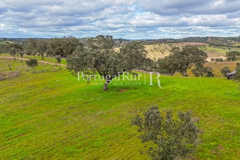 Masia a Evora, Evora, Evora - € 1.500.000 | Ref: JC782 - foto 42